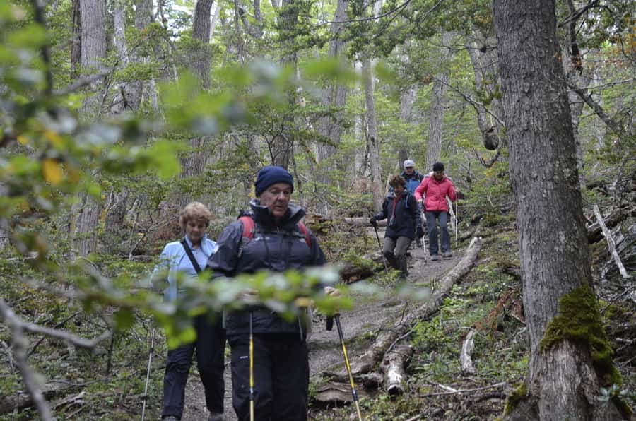 Ushuaia: Tierra del Fuego Trekking and Canoeing - Is the $158 price worth it?