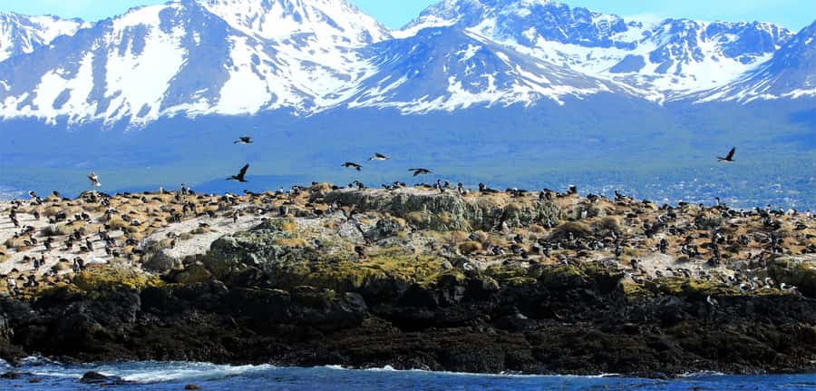 Ushuaia: Tour: Beagle Channel Navigation - Leaving Ushuaia Bay for the Beagle Channel