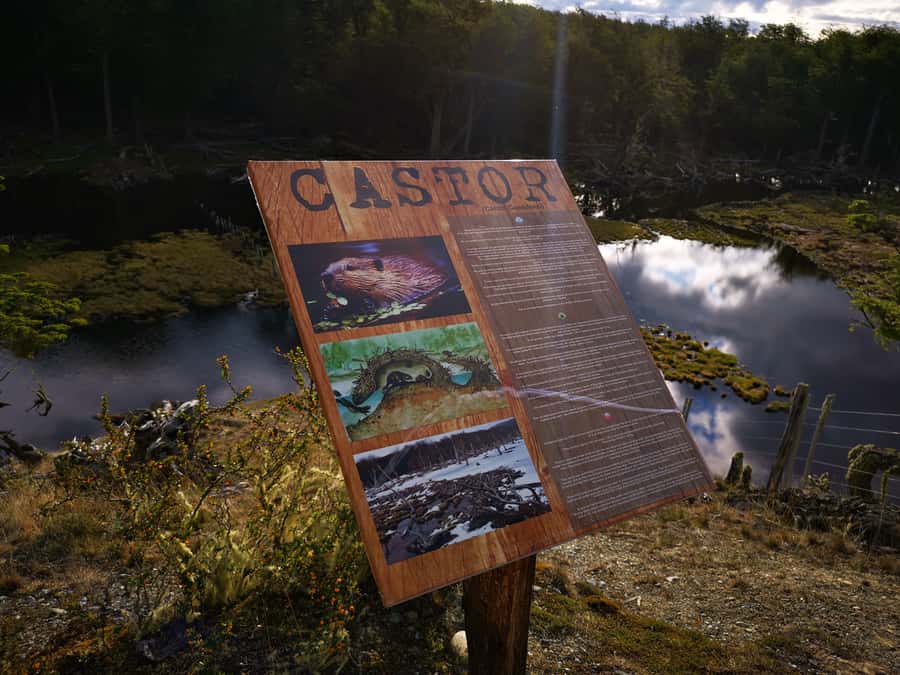 Ushuaia: Visit to Escondido and Fagnano Lakes PM - Short viewpoints and Escondido Lake