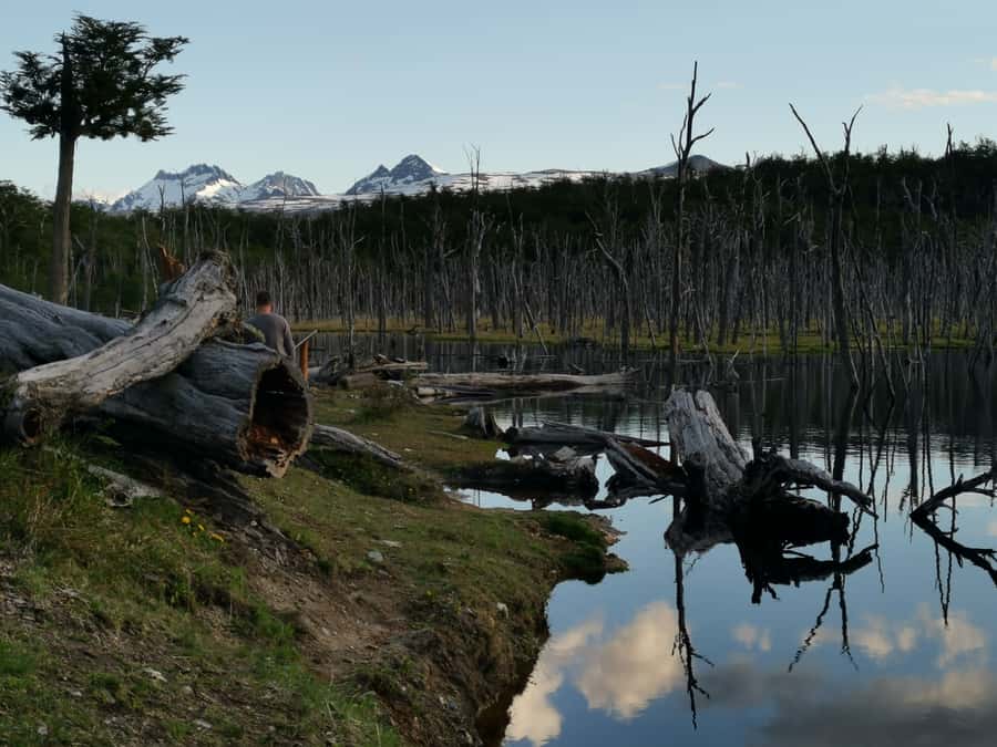 Ushuaia: Visit to Escondido and Fagnano Lakes PM - The moderate walk and the search for beavers