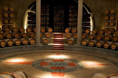 Valle de Uco: Private Full Day Wine Tour with 3-Course Lunch
