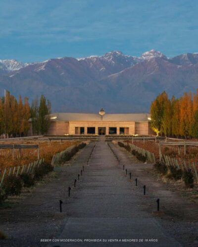 Wine Icons: Meet Salentein at the heart of Uco Valley